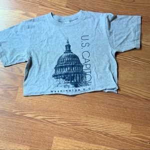 US capitol grey crop top